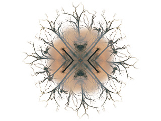 printImage
