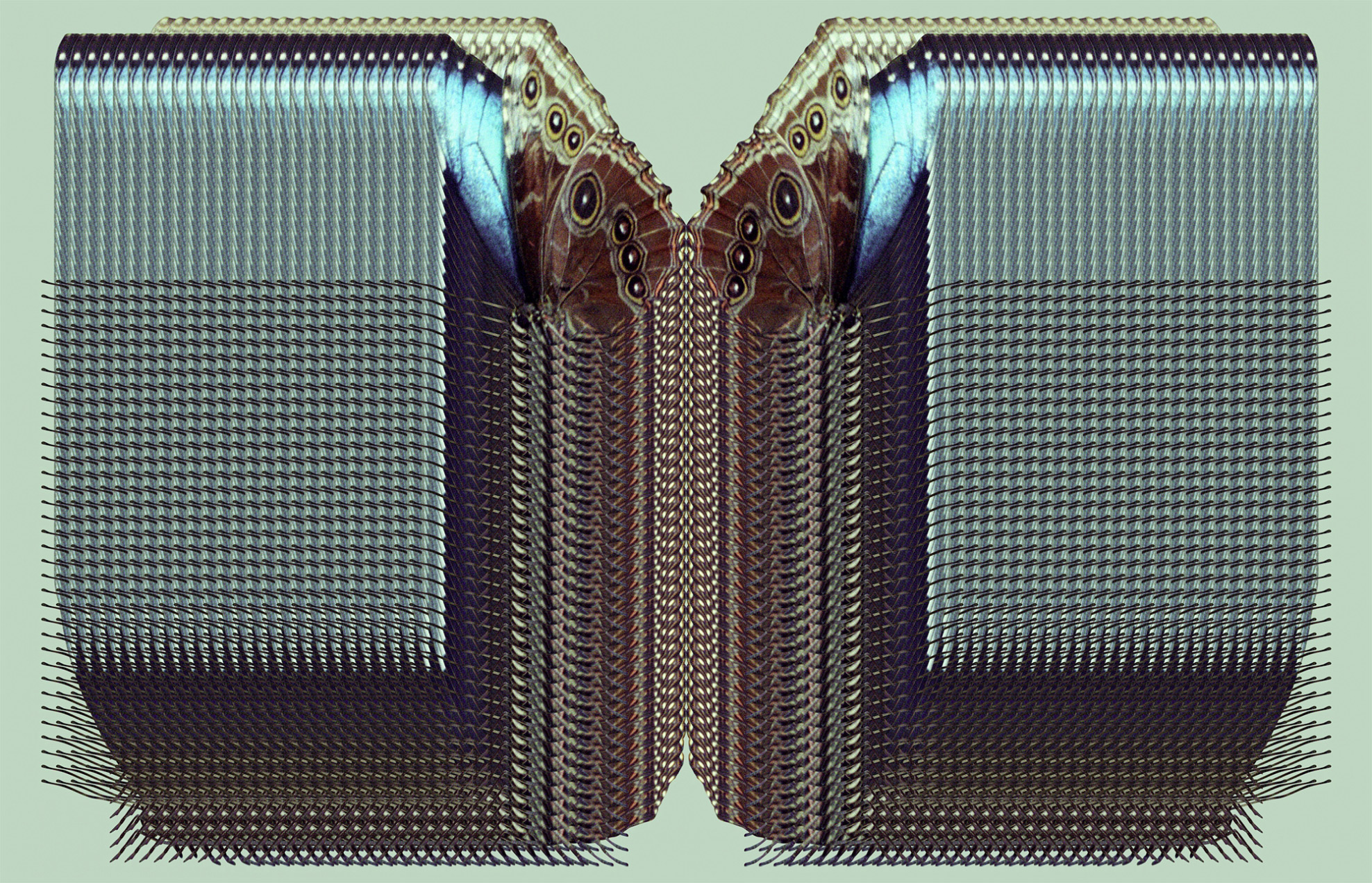 printImage