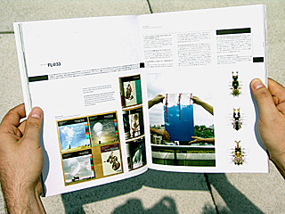 +81, vol. 32, summer 2006