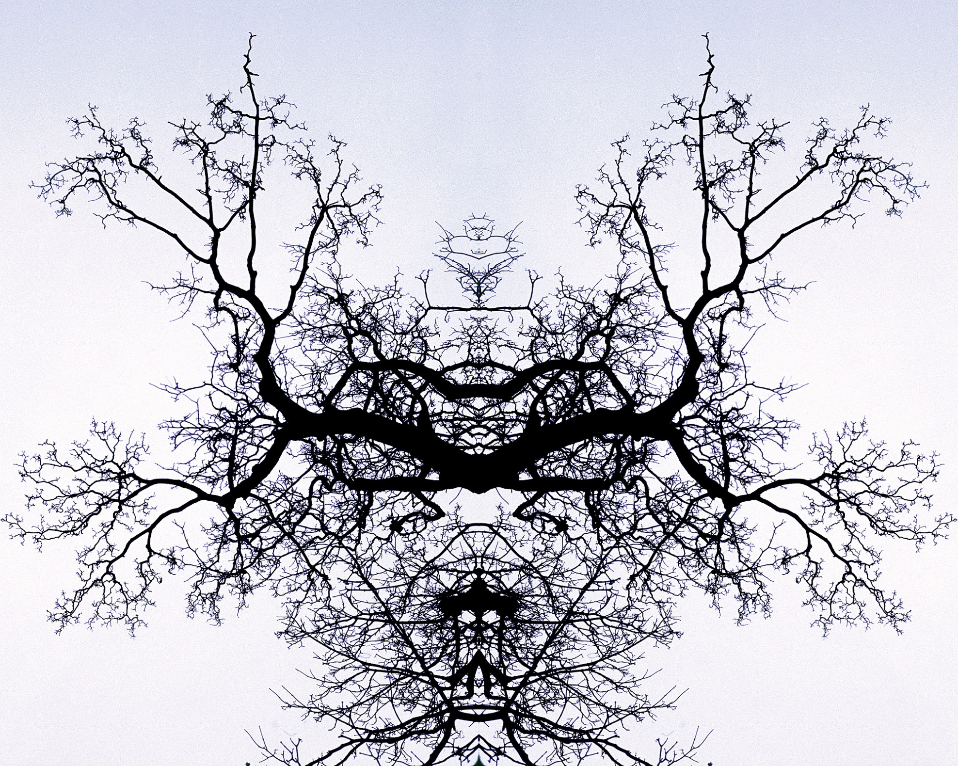 printImage