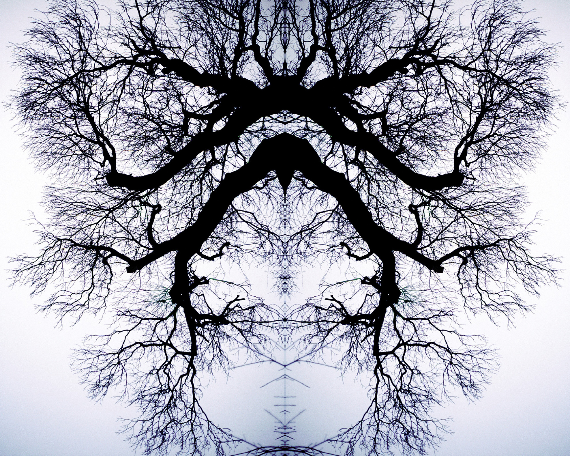 printImage