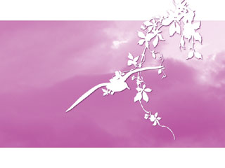 printImage