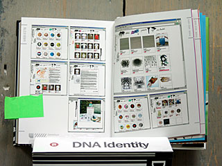 DNA Identity, 2006