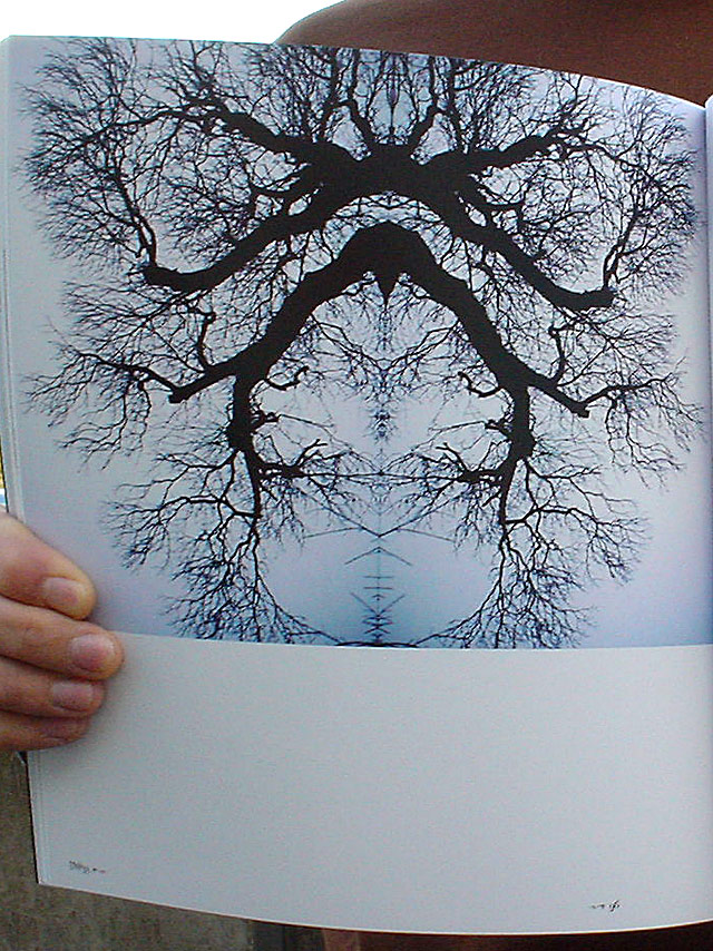 Romantik, 2003